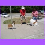 Belle Making Friends.jpg